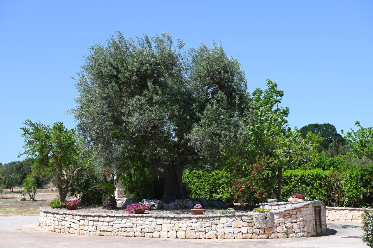 Masseria Peppeturro Чистернино Екстериор снимка